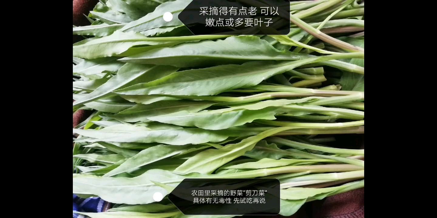 刀具消毒柜制造技术(图1)