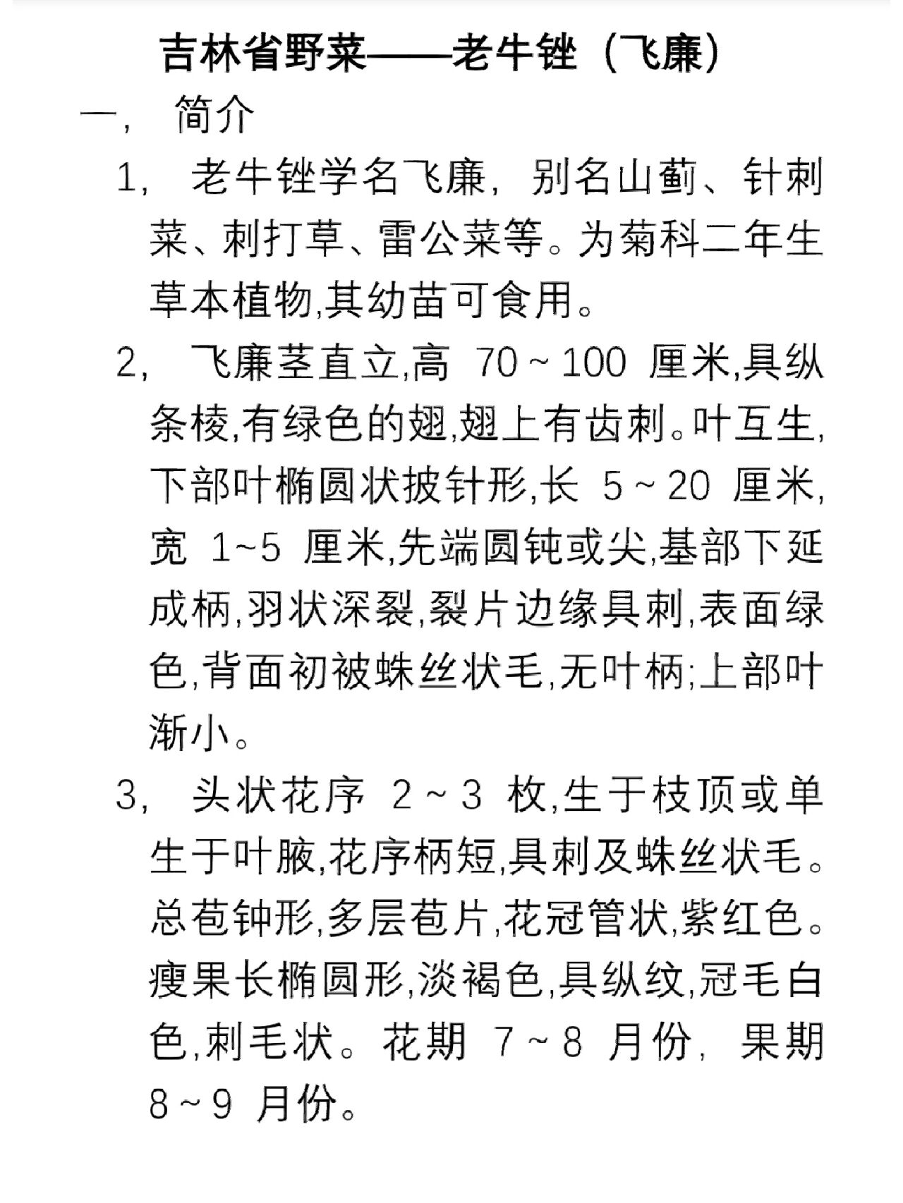 熊出没之探险日记2第47集在线观看(图1)